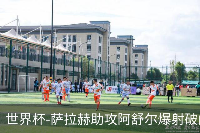 世界杯-萨拉赫助攻阿舒尔爆射破门 埃及半场1-0比利时